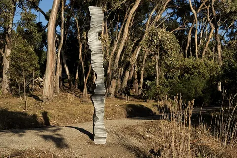 The column in coastal bushland, low sun through the trees